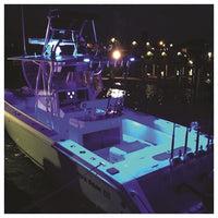 LUMITEC 101102 Caprera2 - LED Flood Light - 2-Color White/Blue Dimming